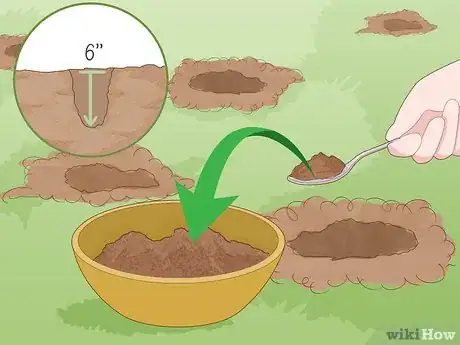 Image titled Do a Home Soil Test Step 9