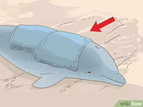 Image titled Save a Stranded Dolphin Step 13