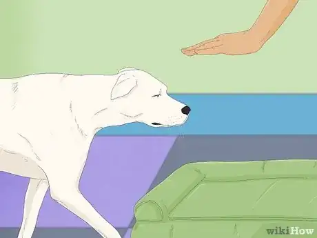 Image titled Make Your Dog Stop Sleeping in Your Bed Step 12