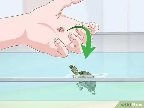Image titled Feed a Red‐Eared Slider Turtle Step 8