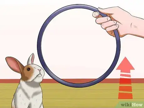 Image titled Teach Your Rabbit to Jump over Something Step 12