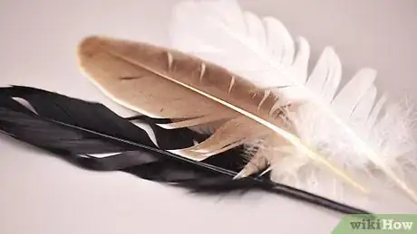 Image titled Preserve Feathers for Crafts Step 8