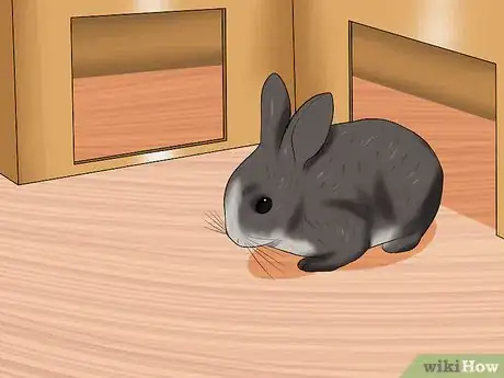 Image titled Build a Maze for Your Rabbit Step 11