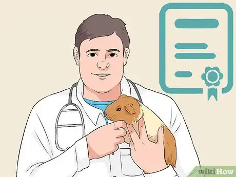 Image titled Care for a Guinea Pig with Pneumonia Step 8