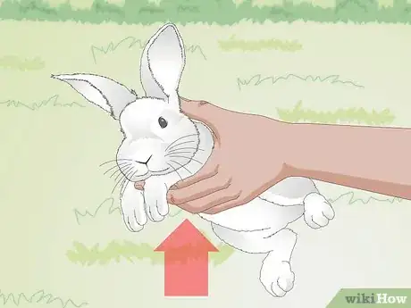 Image titled Hold a Rabbit Step 4