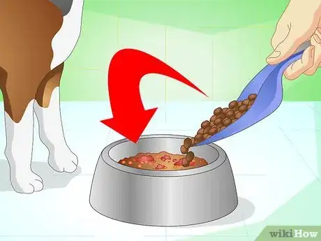 Image titled Get Your Dog to Eat the Dog Food It Does Not Like Step 1