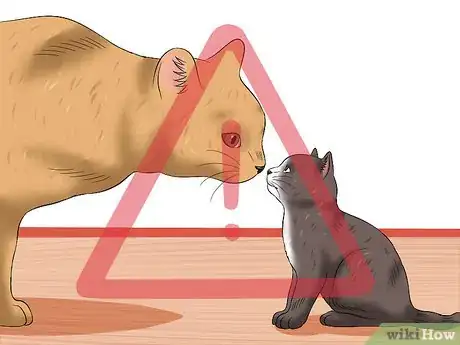 Image titled Diagnose Feline Panleukopenia (Distemper) Step 11