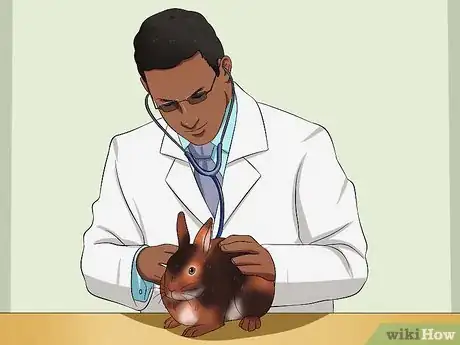 Image titled Care for Rex Rabbits Step 1