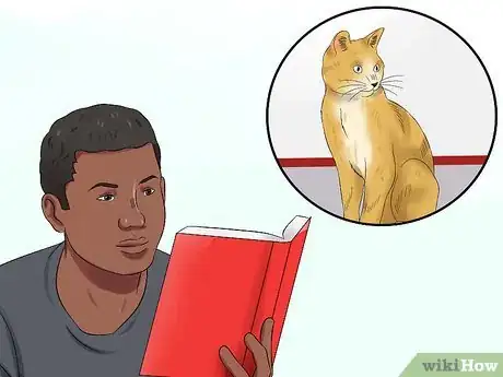 Image titled Plan and Prepare for Your New Cat Step 11