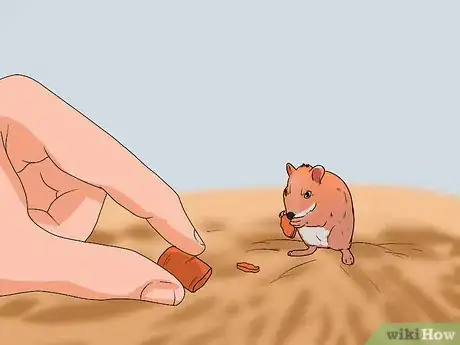 Image titled Make Baby Hamster Food Step 6