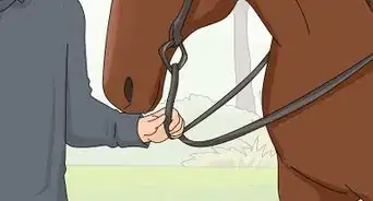 Teach Your Horse to Stop Biting