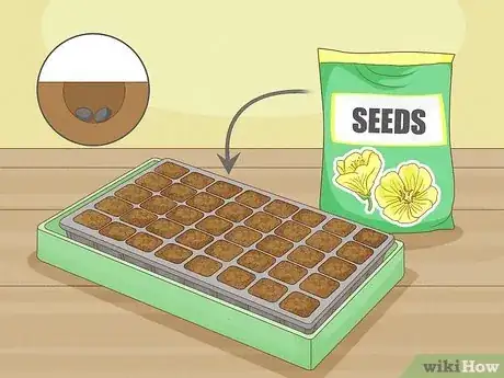 Image titled Plant Seeds in a Basic Seed Tray Step 9