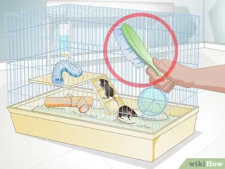 Image titled Clean a Rat's Cage Step 1