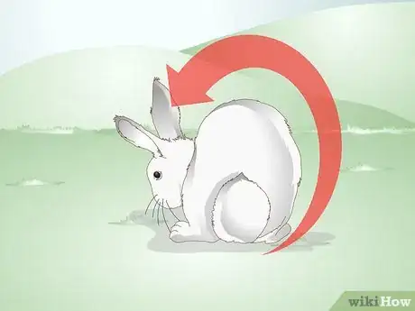 Image titled Care for a Rabbit with GI Stasis Step 3