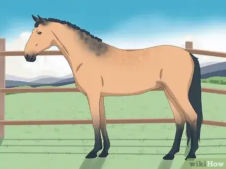 Image titled Choose the Right Breed of Horse for You Step 12