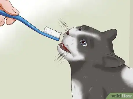 Image titled Clean a Cat's Teeth Step 5