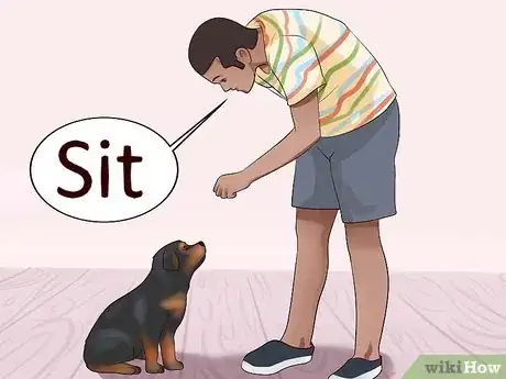 Image titled Train Your Rottweiler Puppy With Simple Commands Step 10