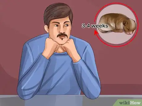 Image titled Tell if a Dog Is a Girl or Boy Step 1