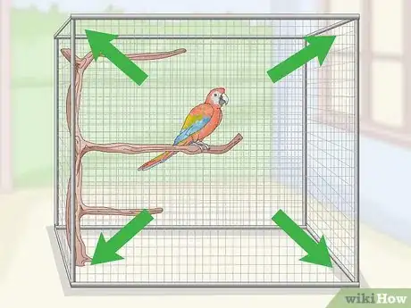 Image titled Stop a Macaw from Feather Picking or Chewing Step 9