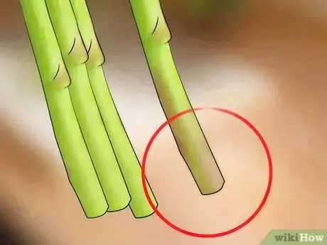 Image titled Choose Asparagus Step 4