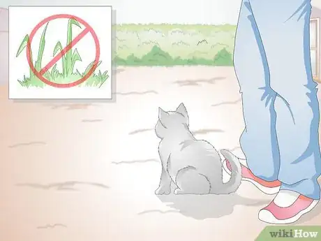 Image titled Stop Your Cat from Eating Grass Step 1