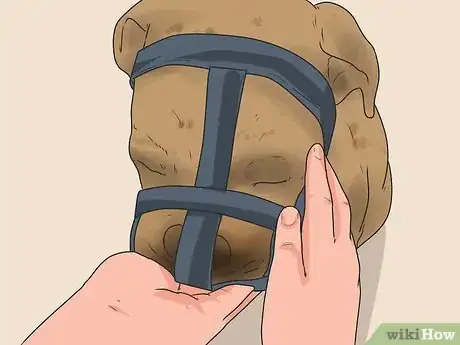 Image titled Stop a Boxer Dog from Biting Step 15
