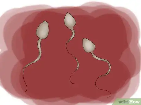 Image titled Increase Fertility in Men Step 12