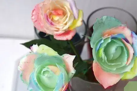 Image titled Make a Rainbow Rose Step 6Bullet2