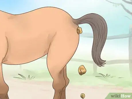 Image titled Tell if a Horse Is Happy Step 13