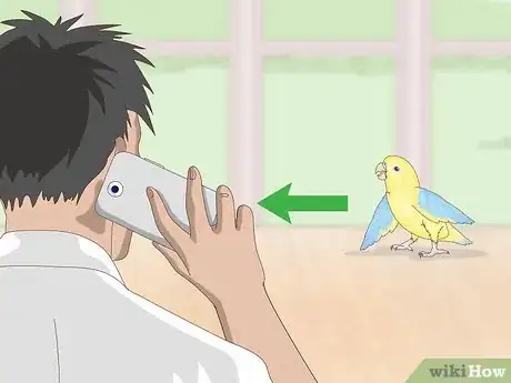 Image titled Deal with Parrotlet Aggression Step 11