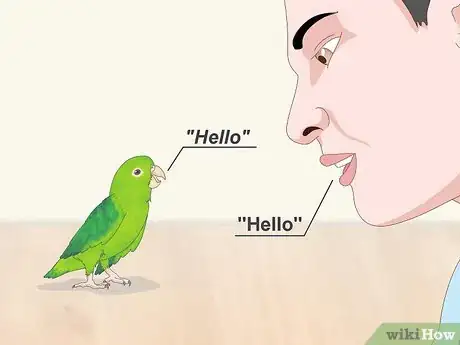 Image titled Interact with Your Parrotlet Step 7