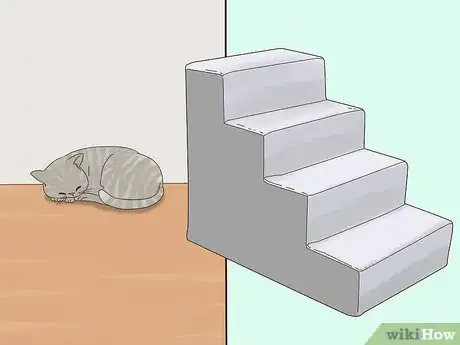 Image titled Choose a Ramp or Stairs for Your Cat Step 1