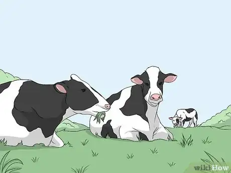 Image titled Determine How Many Cattle Can Be Grazed on a Pasture Step 7