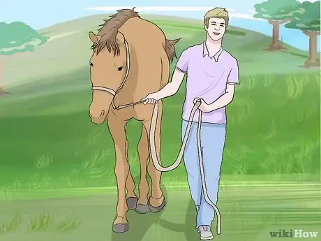 Image titled Gain the Trust of a Recently Abused Horse Step 10