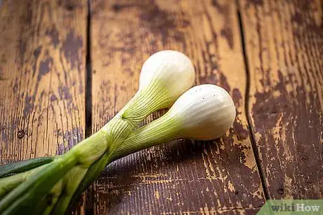 Image titled Tell the Difference Between Spring Onions, Shallots, and Green Onions Step 1