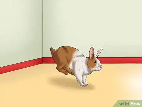 Image titled Entertain Your Rabbit Step 1