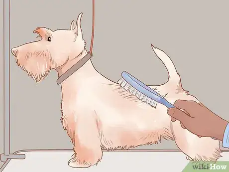 Image titled Groom a Scottish Terrier Step 8