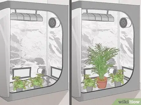 Image titled Increase Relative Humidity in a Grow Tent Step 8