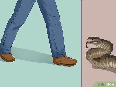 Image titled Survive an Encounter With a Snake Step 3