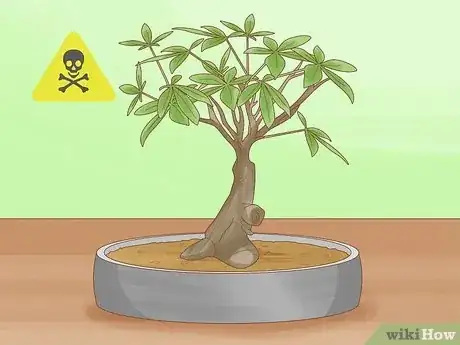 Image titled Are Bonsai Trees Poisonous to Cats Step 8