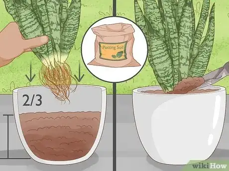 Image titled Remove Ants from Potted Plants Step 11
