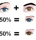 Predict Your Baby's Eye Color