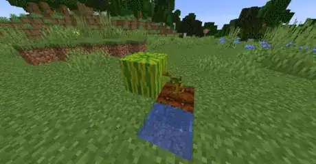 Image titled Find melon seeds in minecraft step 23.png