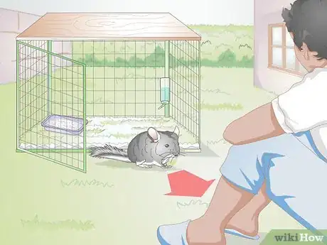 Image titled Buy a Chinchilla Step 12