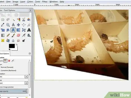 Image titled Fix Perspective in Gimp Step 5