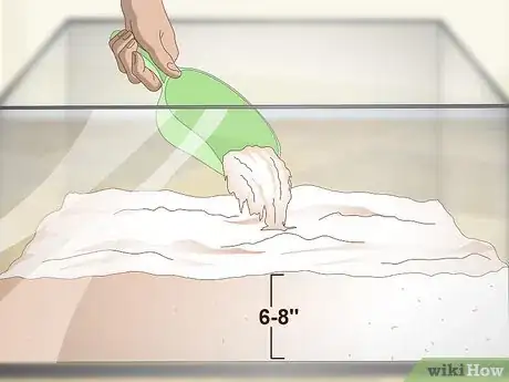 Image titled Decorate Your Hermit Crab's Tank Step 2