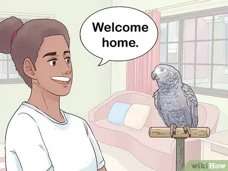 Image titled Encourage an African Grey Parrot to Speak Step 10