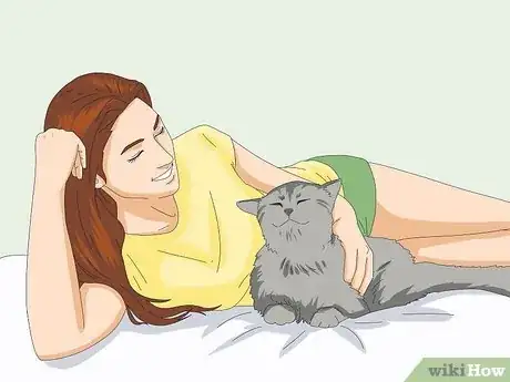 Image titled Get Your Cat to Know and Love You Step 15