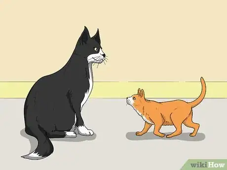 Image titled Introduce a Kitten to an Older Cat Step 9