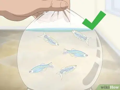 Image titled Take Care of Your Fish Step 2